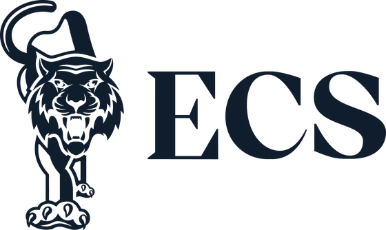 Egyptian Consulting Services