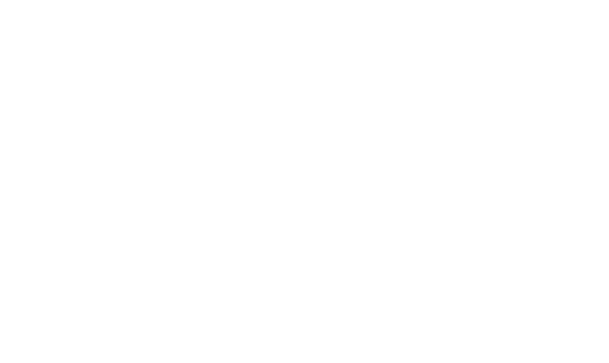 Egyptian Consulting Services