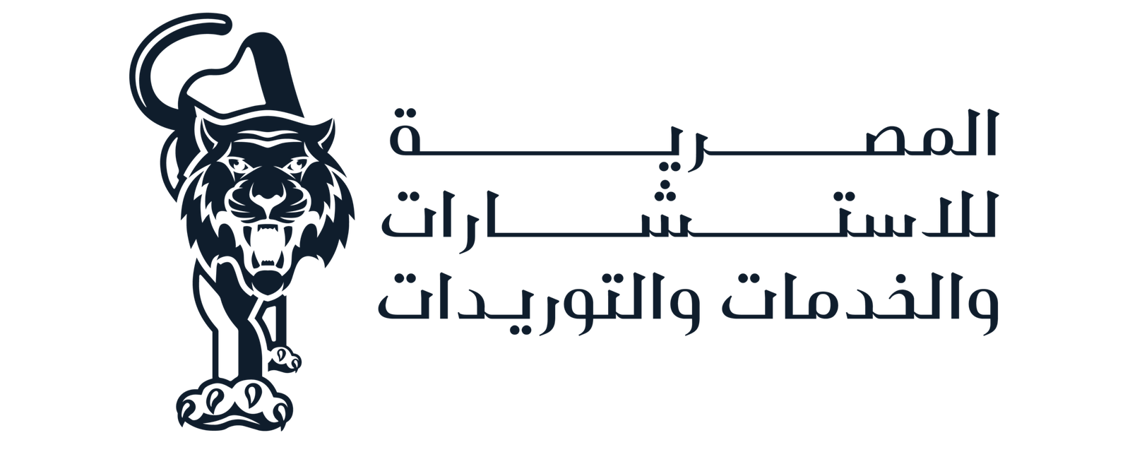 ECS — المصرية للاستشارات والخدمات والتوريدات
